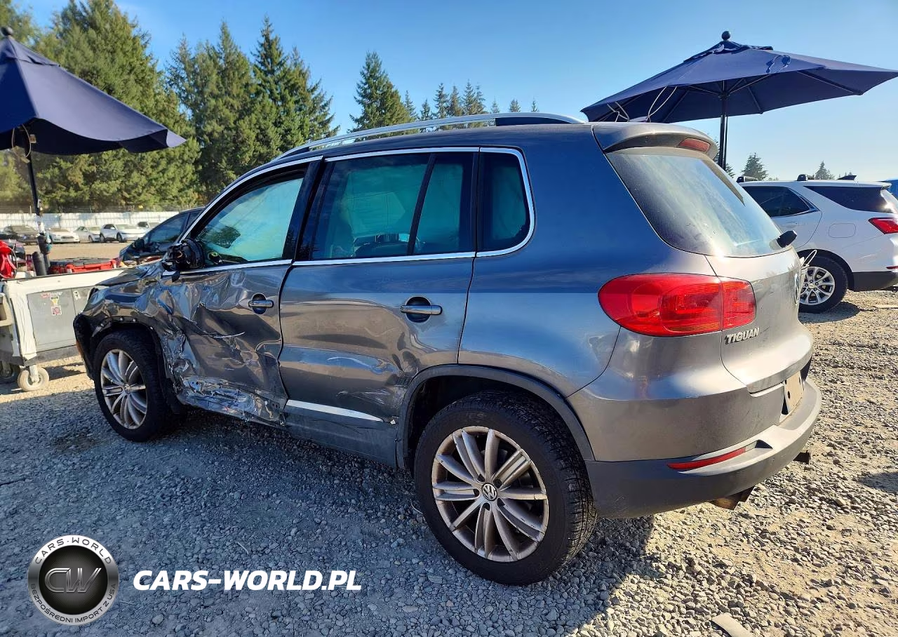 2012 Volkswagen Tiguan S VIN:WVGBV7AX7CW087486 - 2