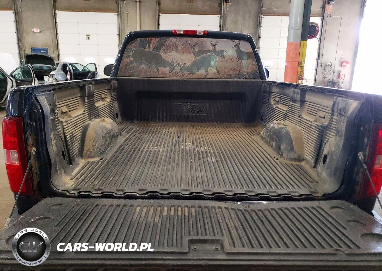 2008 Chevrolet Silverado K1500 VIN:1GCEK14068Z138956 - 10