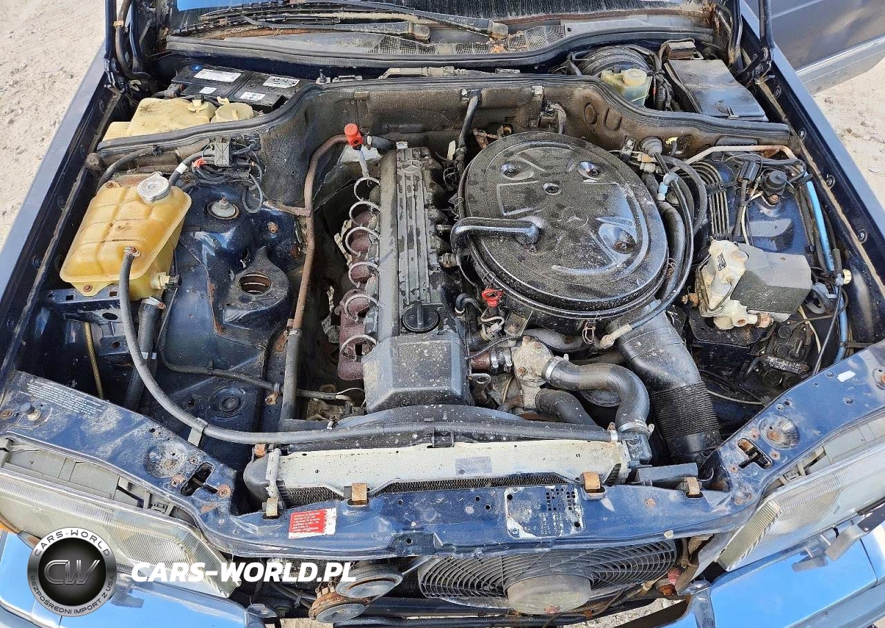 1988 Mercedes-Benz 300 Sel VIN:WDBCA25D6JA424472 - 11