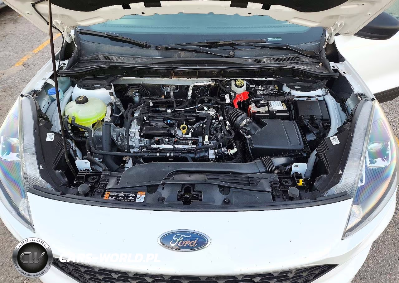 2021 Ford Escape S VIN:1FMCU0F66MUA19966 - 12