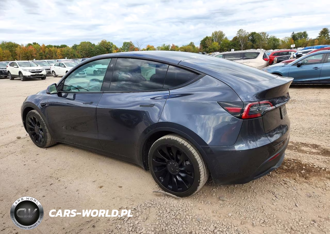2022 Tesla Model Y VIN:7SAYGAEE3NF519466 - 2