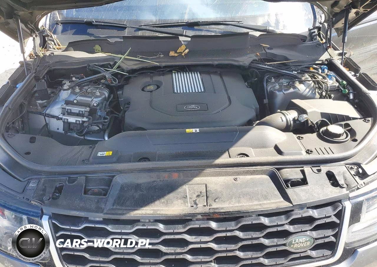 2019 Land Rover Range Rover Sport Hse VIN:SALWR2RK4KA822662 - 12