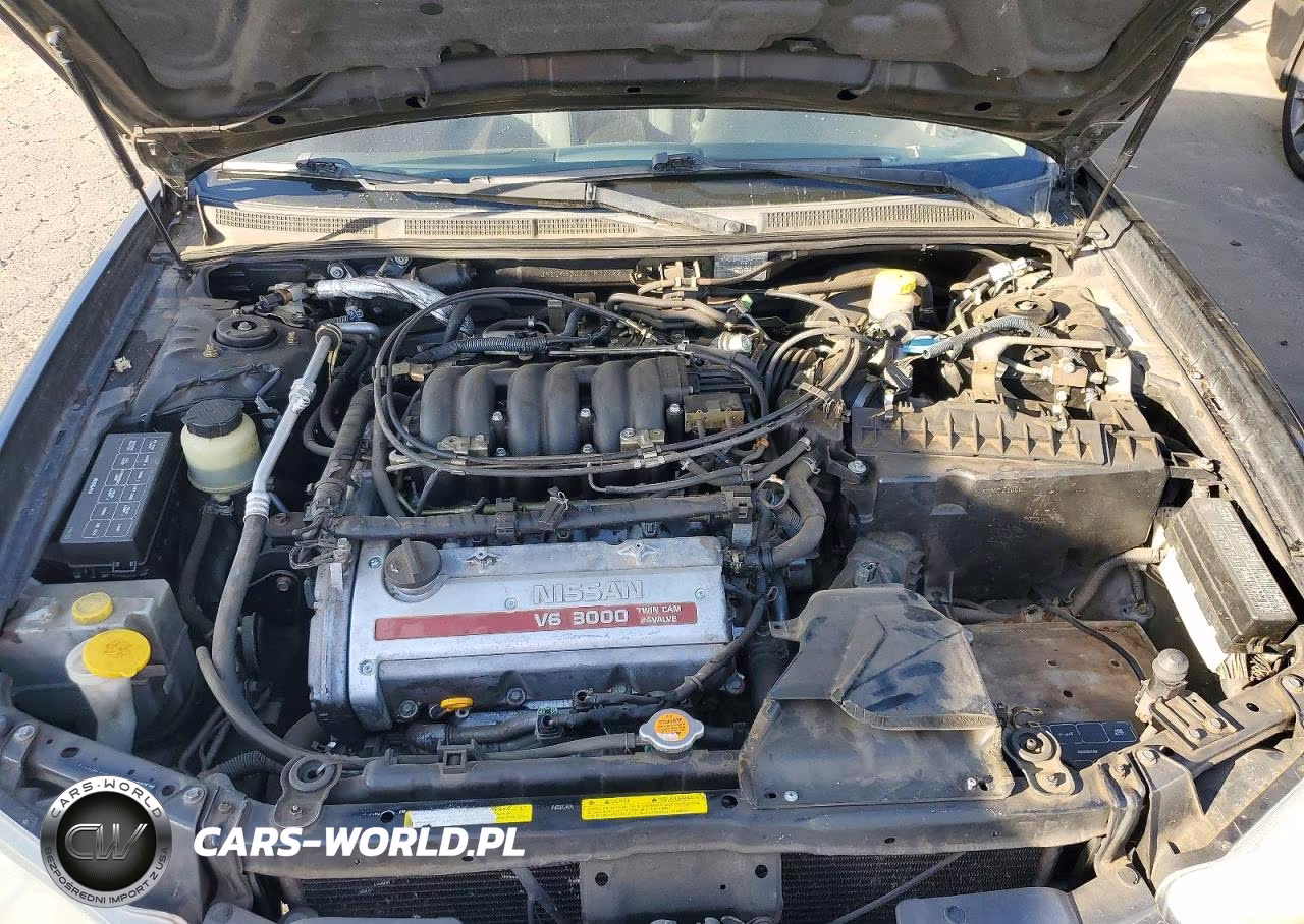 2001 Nissan Maxima Gxe VIN:JN1CA31D11T832222 - 11