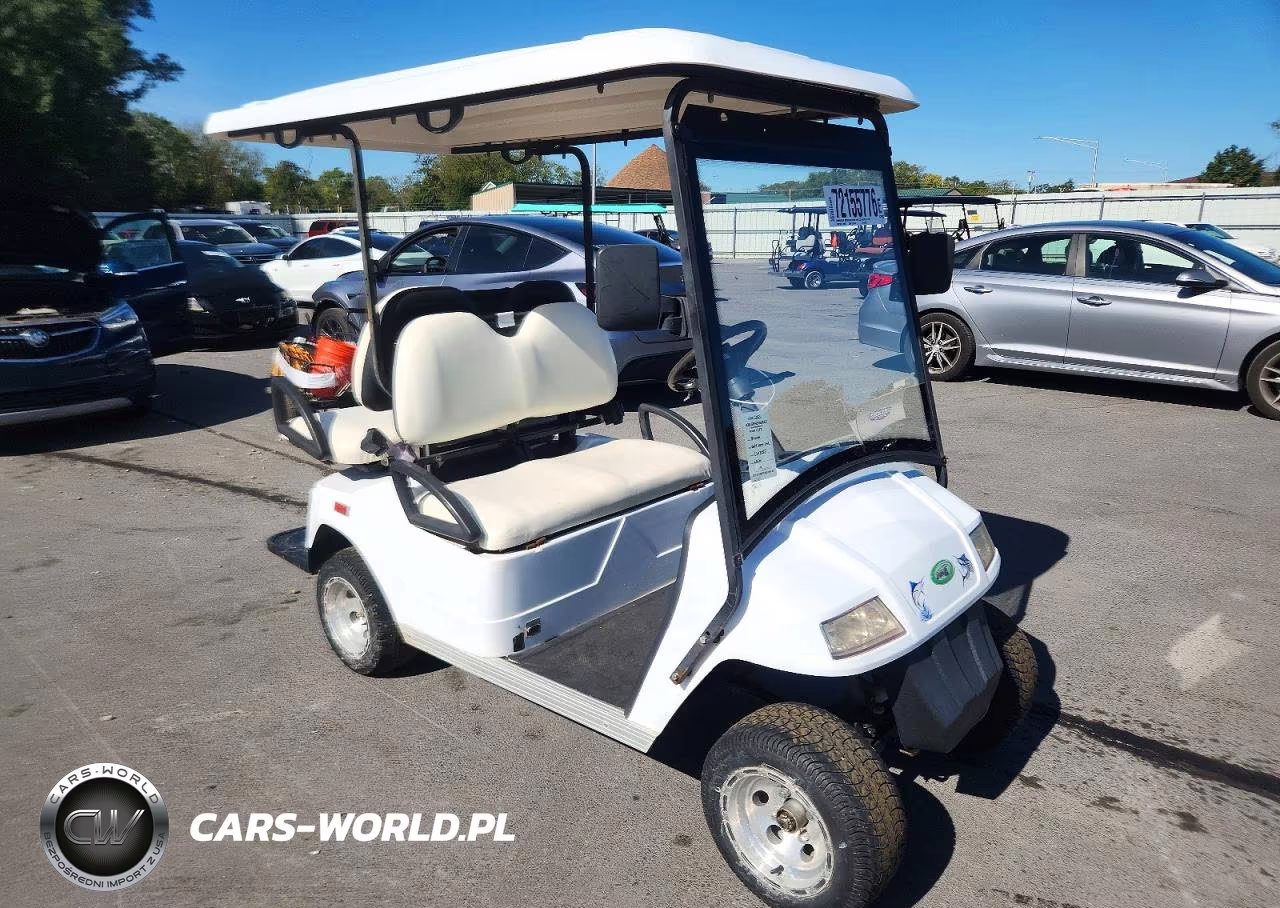 2010 Zone Golf Cart – zdjęcie 1 z 10