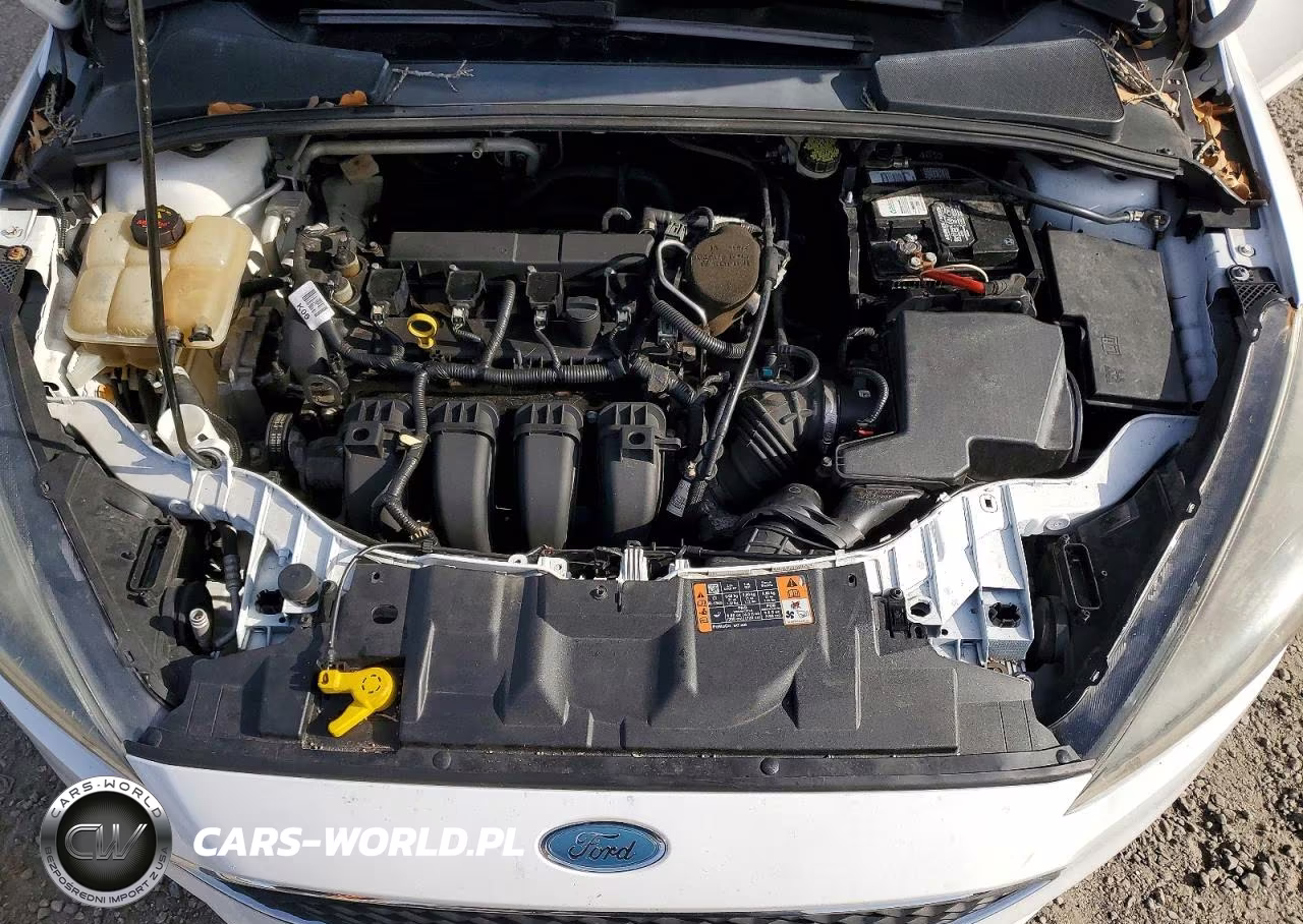 2015 Ford Focus Se VIN:1FADP3K24FL318472 - 11