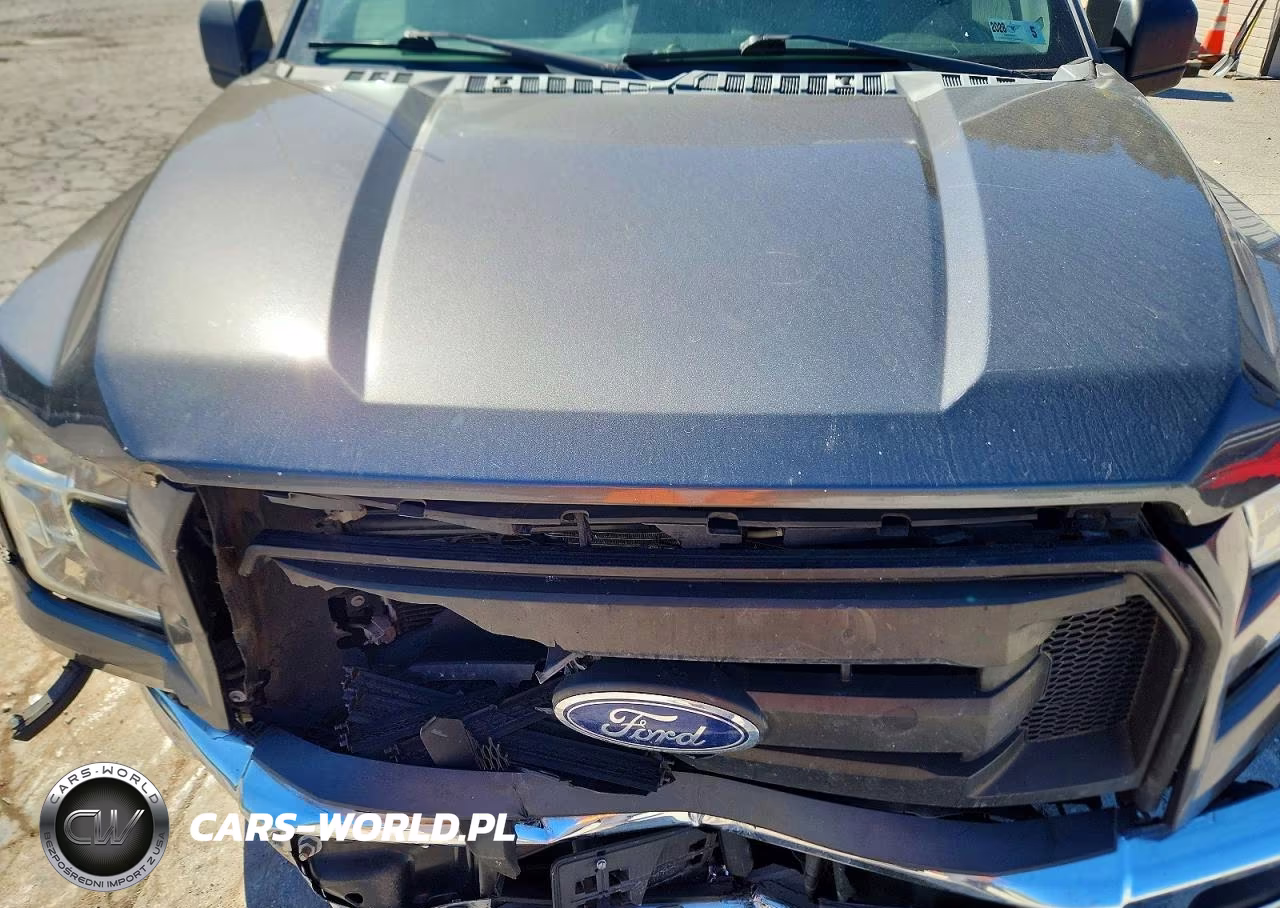 2016 Ford F150 VIN:1FTMF1EP0GKF16028 - 11