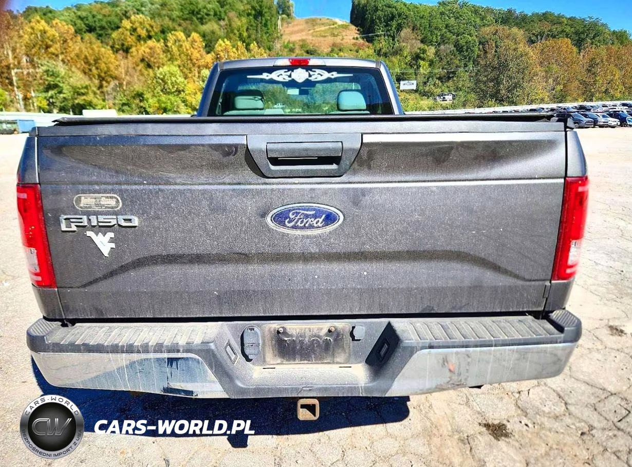2016 Ford F150 VIN:1FTMF1EP0GKF16028 - 6
