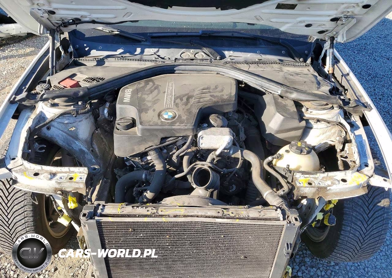 2014 BMW 320 I VIN:WBA3B1G53ENS80146 - 11