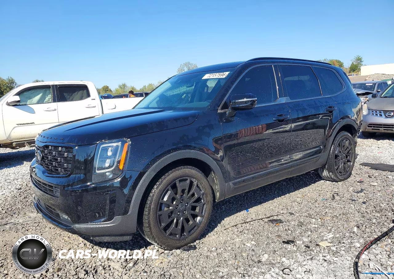 2021 Kia Telluride Sx VIN:5XYP5DHCXMG101567 - 1
