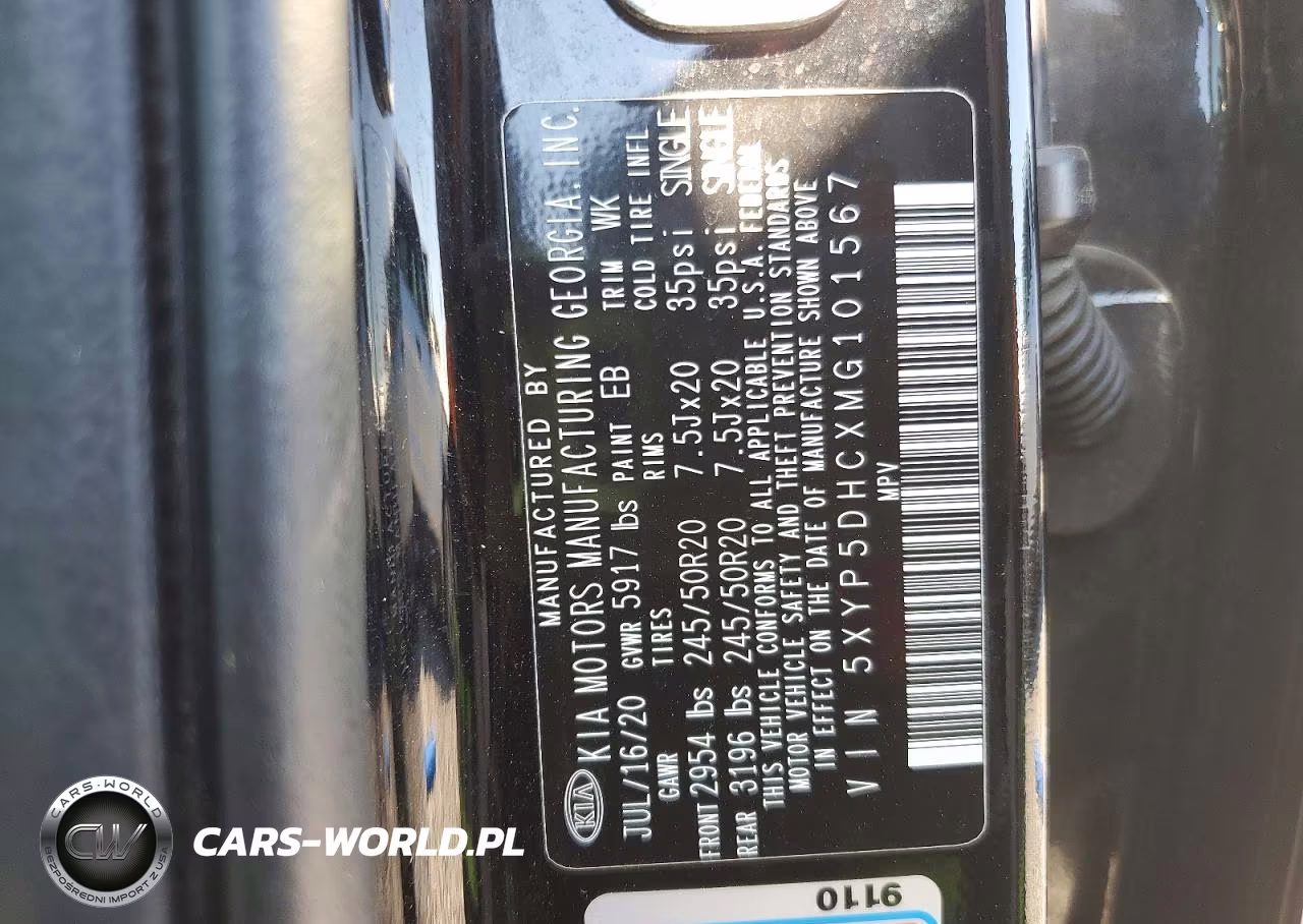 2021 Kia Telluride Sx VIN:5XYP5DHCXMG101567 - 13