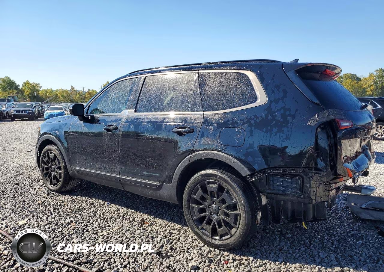 2021 Kia Telluride Sx VIN:5XYP5DHCXMG101567 - 2
