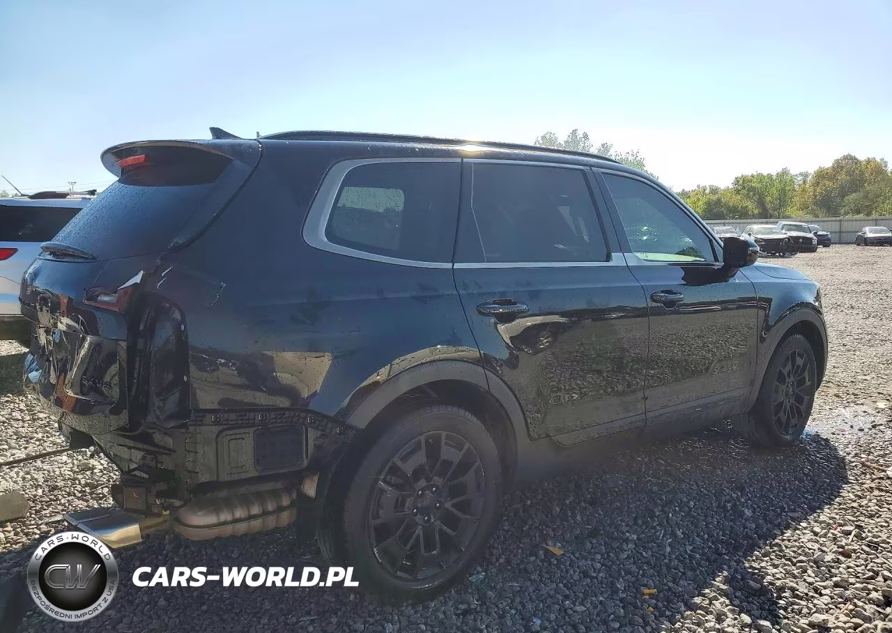 2021 Kia Telluride Sx VIN:5XYP5DHCXMG101567 - 3
