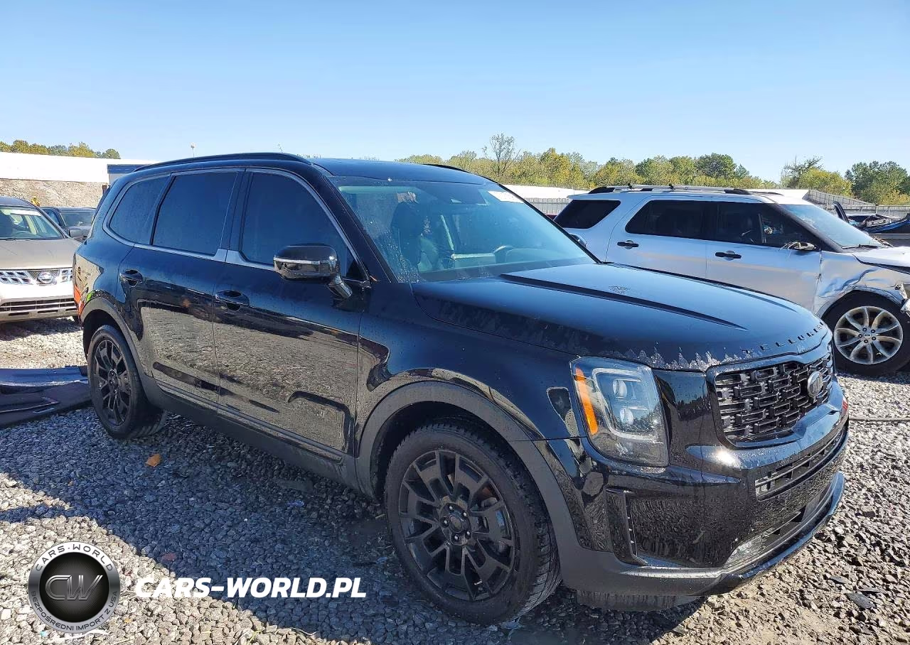 2021 Kia Telluride Sx VIN:5XYP5DHCXMG101567 - 4