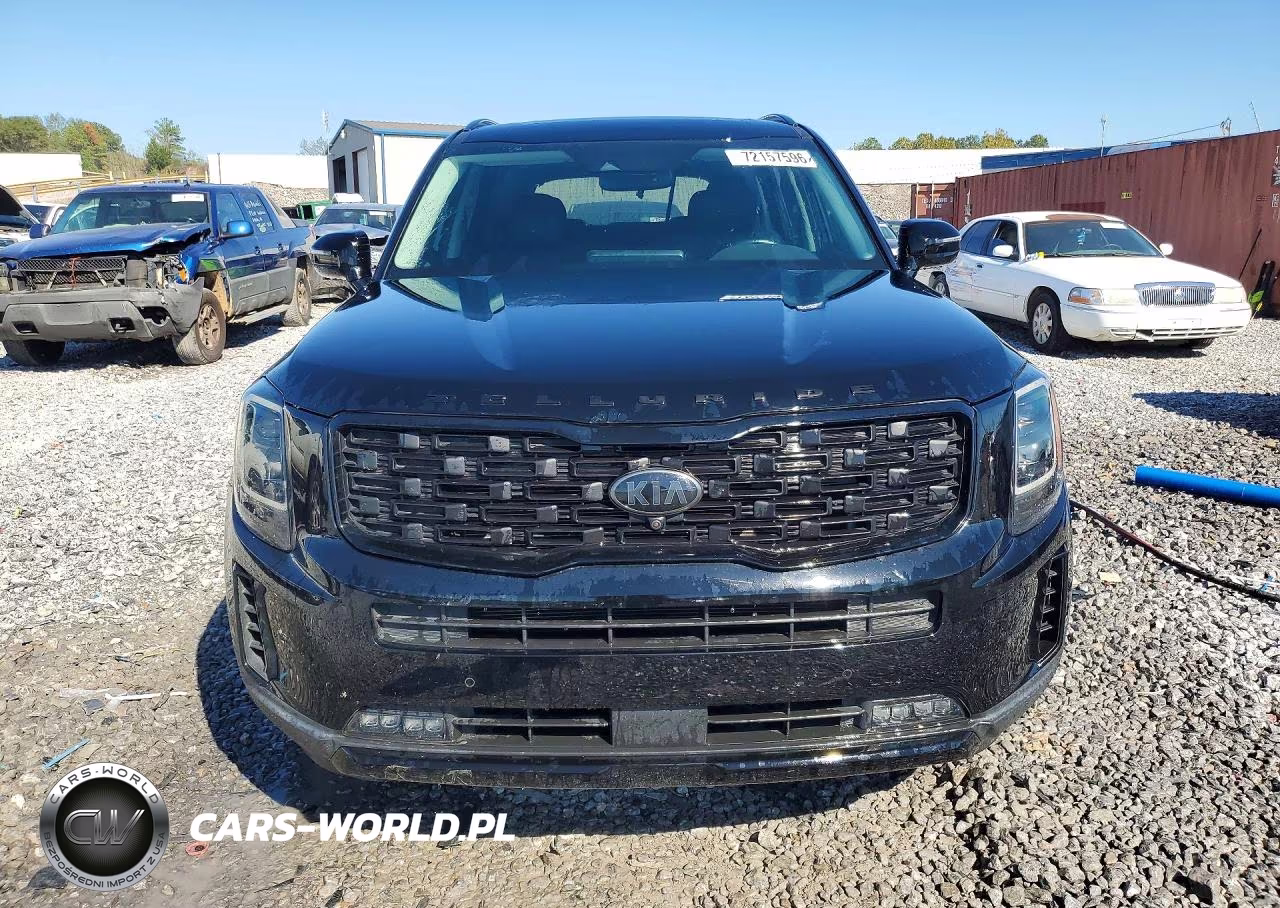 2021 Kia Telluride Sx VIN:5XYP5DHCXMG101567 - 5