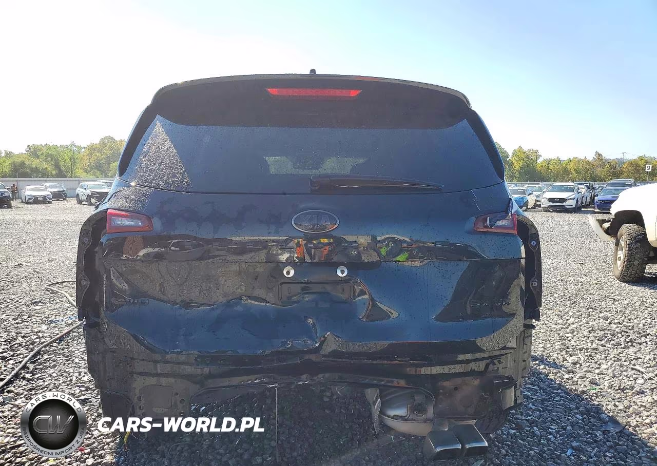 2021 Kia Telluride Sx VIN:5XYP5DHCXMG101567 - 6