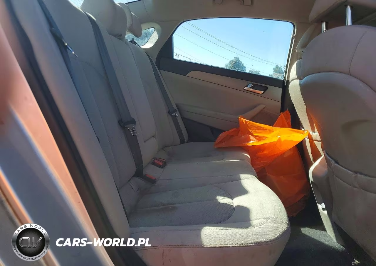 2015 Hyundai Sonata Se VIN:5NPE24AF9FH018597 - 10