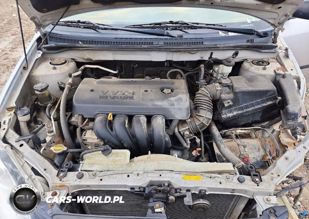 2008 Toyota Corolla Ce VIN:1NXBR32E88Z977847 - 11