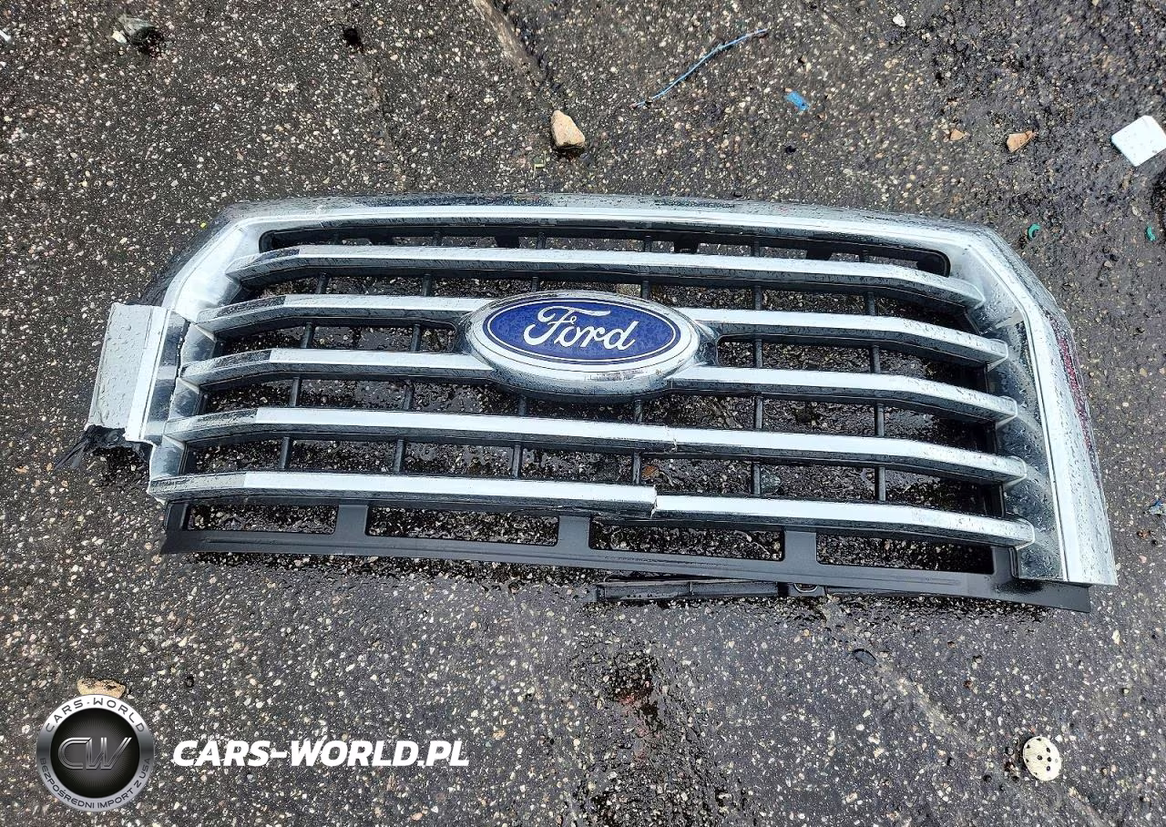 2017 Ford F150 Supercrew VIN:1FTEW1CP0HFB48323 - 12