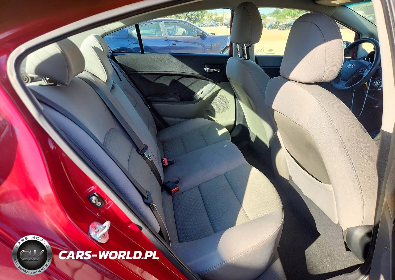 2014 Kia Forte Lx VIN:KNAFX4A61E5203700 - 10