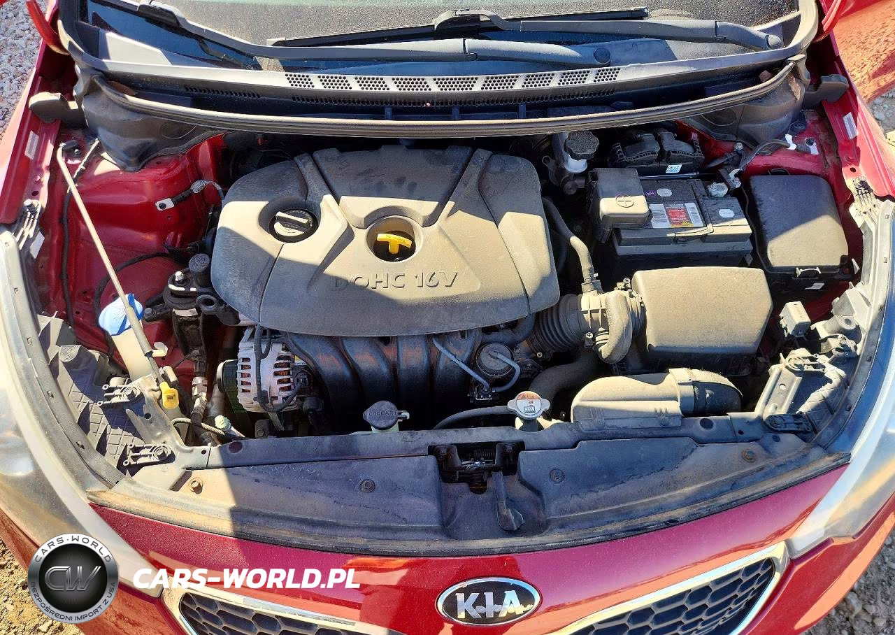 2014 Kia Forte Lx VIN:KNAFX4A61E5203700 - 11