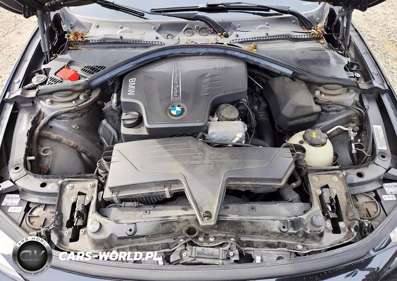 2015 BMW 428 Xi VIN:WBA3N9C57FK246595 - 11