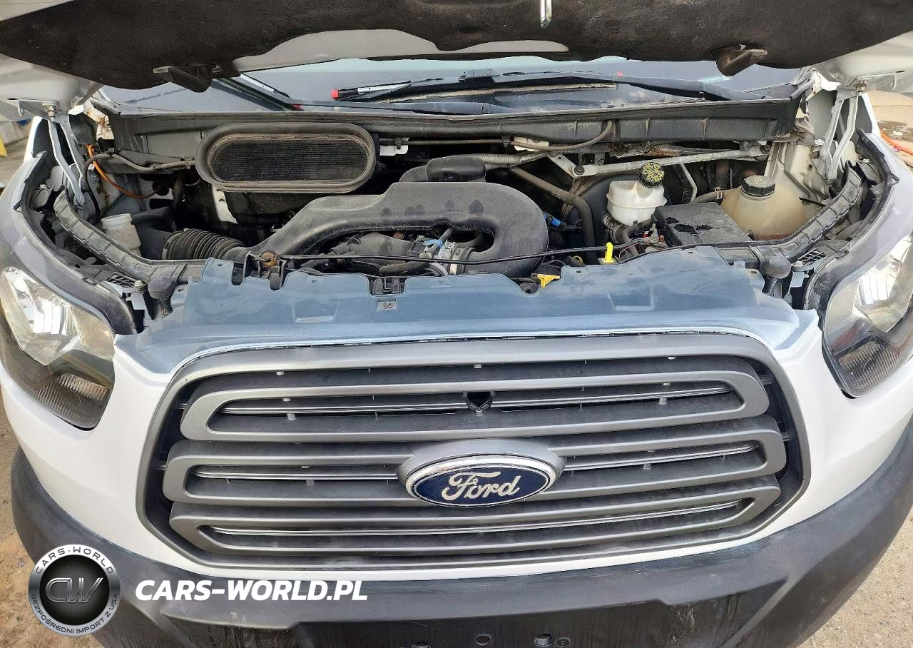 FORD TRANSIT T- VIN:1FTYE1CM1GKA07983 - 11