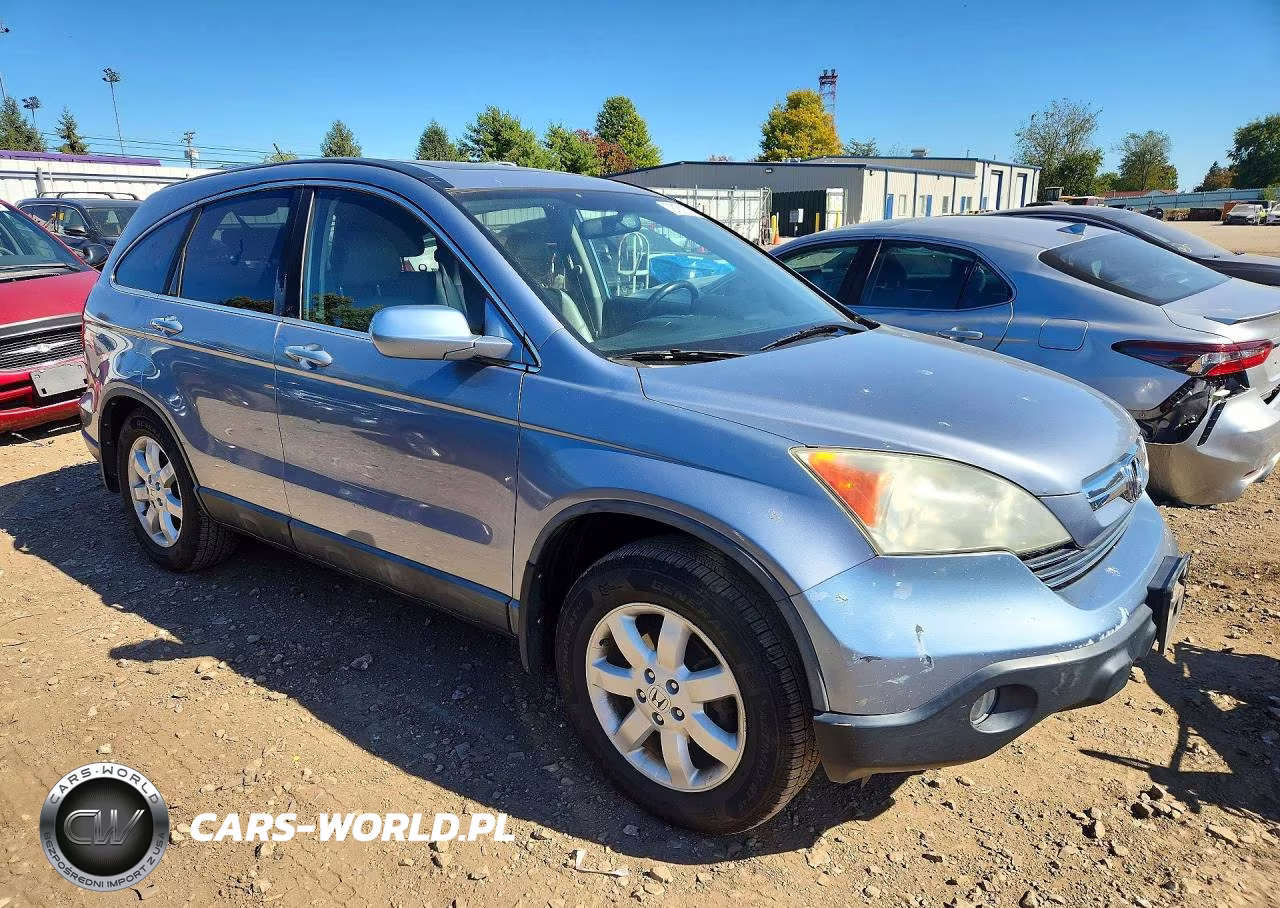 2009 Honda Cr-V Exl VIN:5J6RE48749L041531 - 4