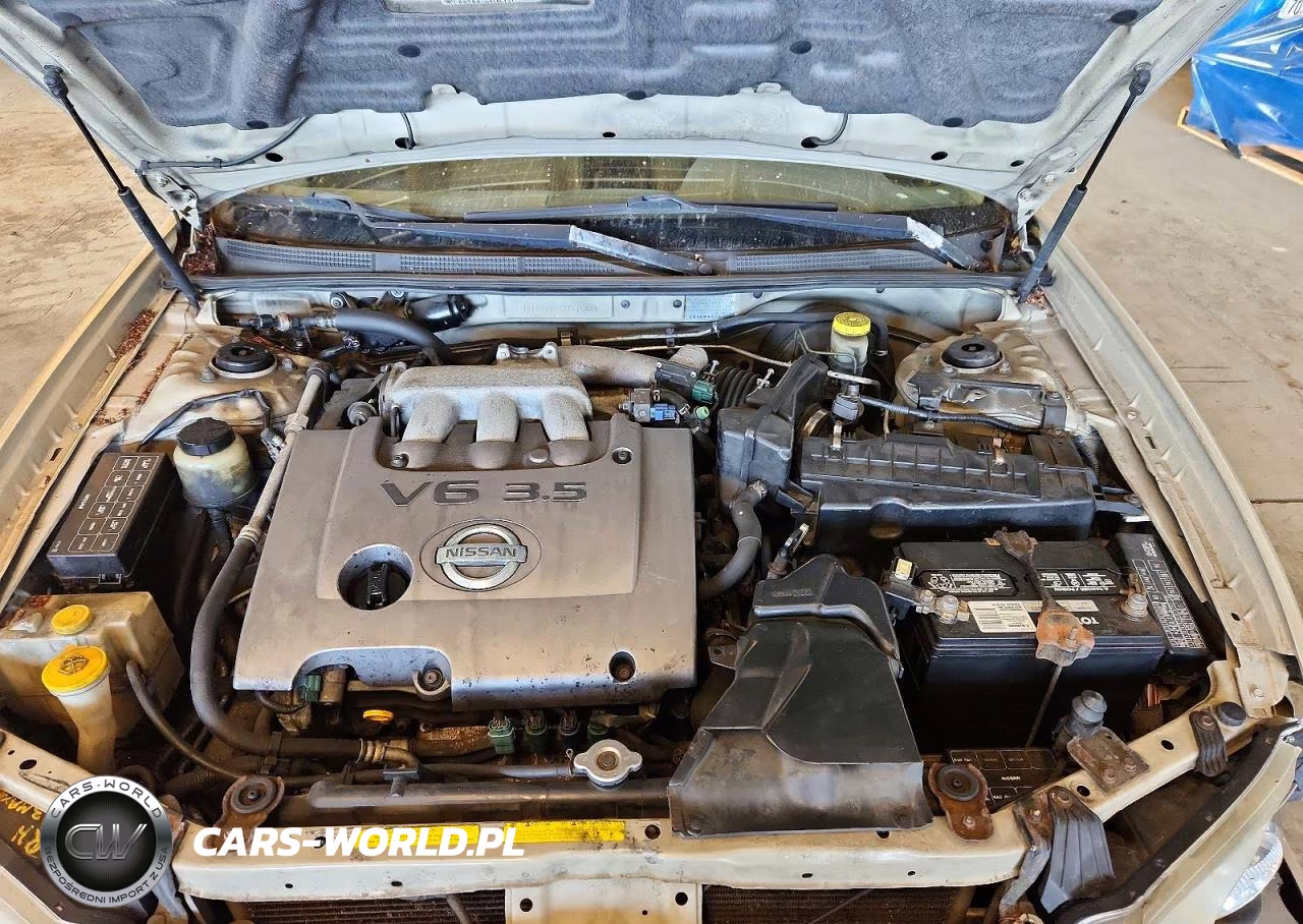 2002 Nissan Maxima VIN:JN1DA31D52T410444 - 11