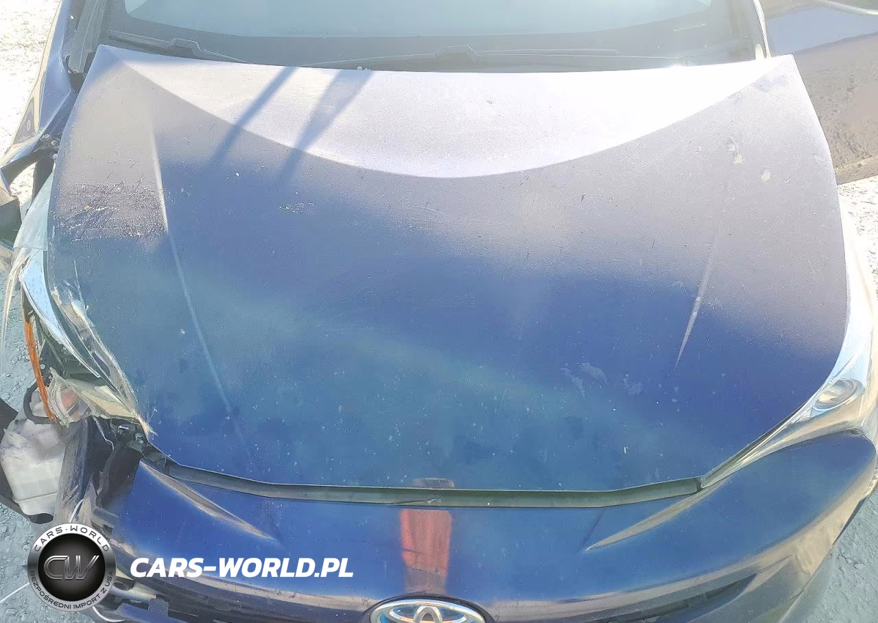 2016 Toyota Prius VIN:JTDKBRFU8G3527424 - 11