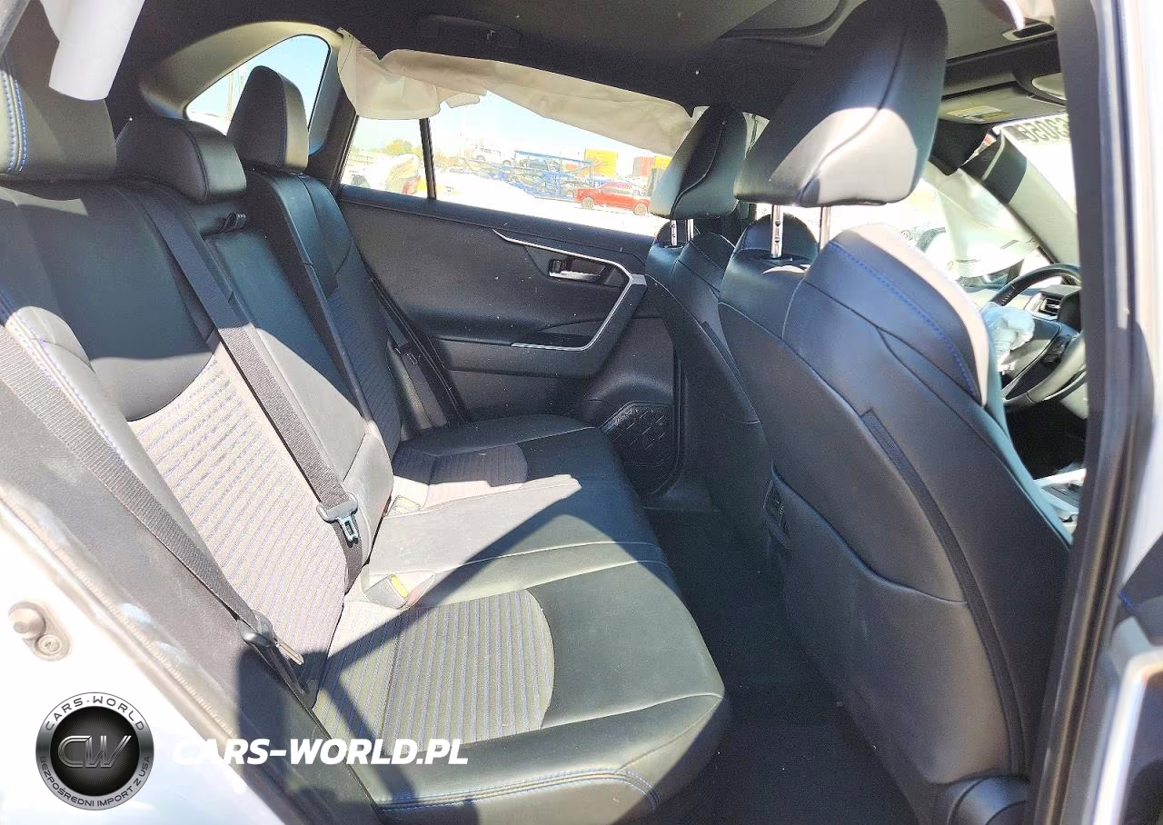 2019 Toyota Rav4 Xse VIN:2T3EWRFV9KW046310 - 10