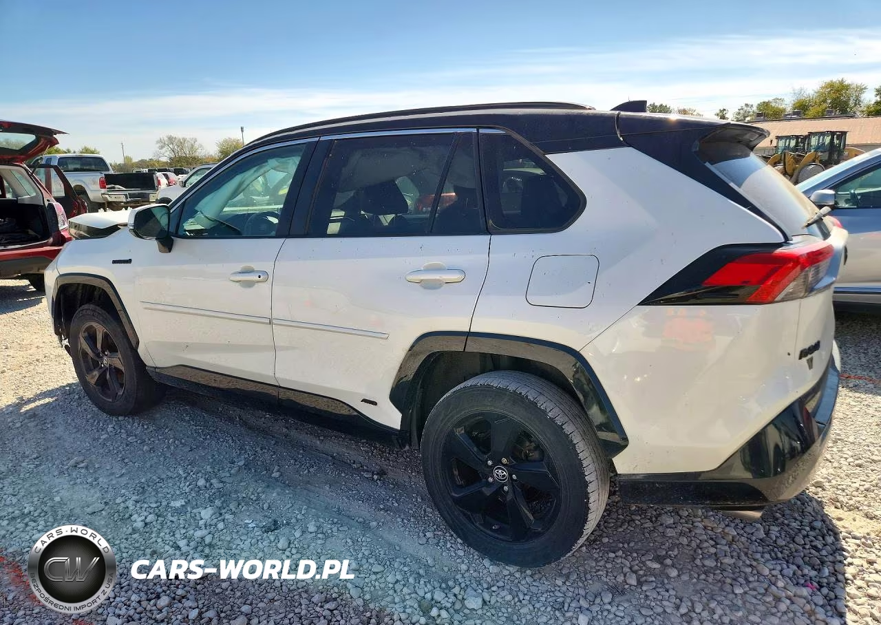 2019 Toyota Rav4 Xse VIN:2T3EWRFV9KW046310 - 2