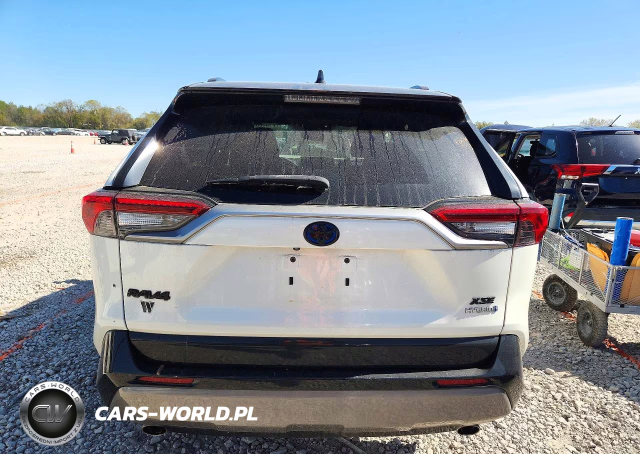 2019 Toyota Rav4 Xse VIN:2T3EWRFV9KW046310 - 6