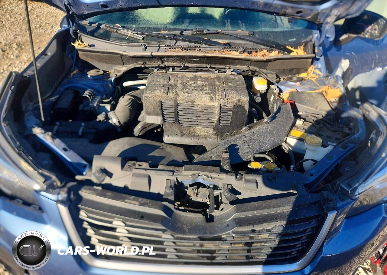 2019 Subaru Forester Premium VIN:JF2SKAECXKH504069 - 11
