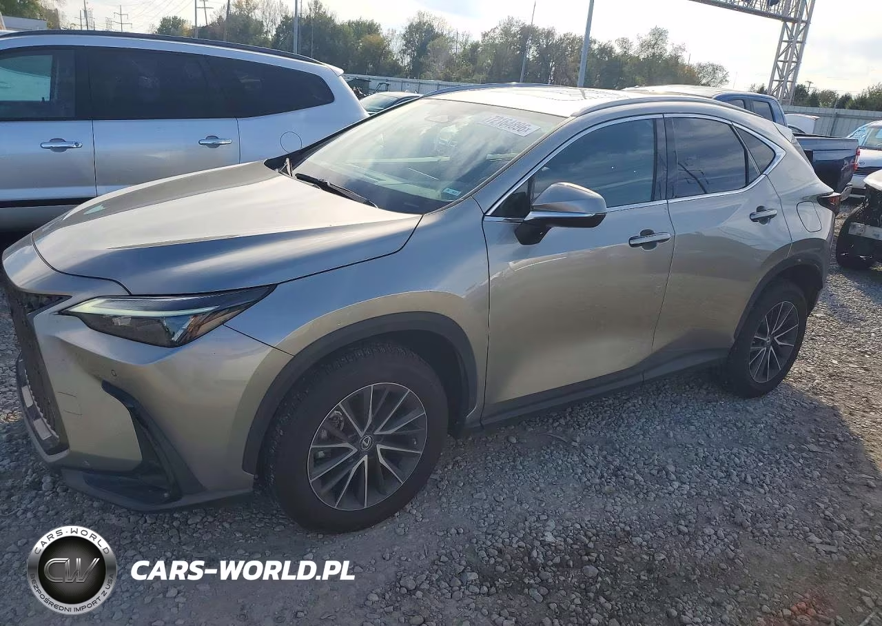 2022 Lexus Nx 250 VIN:2T2GDCEZ0NC001542 - 1