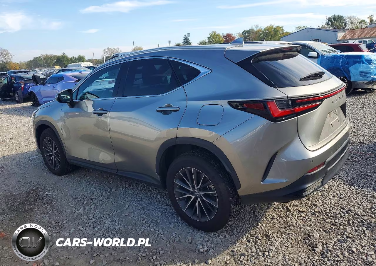 2022 Lexus Nx 250 VIN:2T2GDCEZ0NC001542 - 2