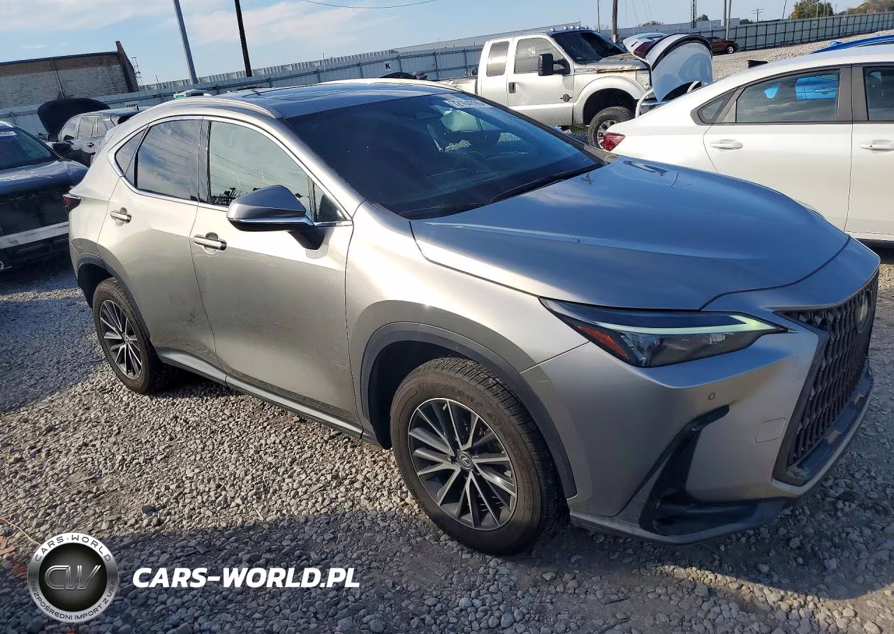 2022 Lexus Nx 250 VIN:2T2GDCEZ0NC001542 - 4