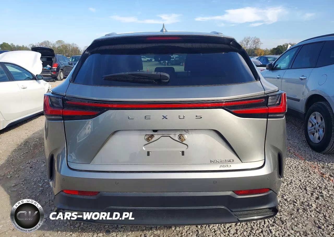 2022 Lexus Nx 250 VIN:2T2GDCEZ0NC001542 - 6