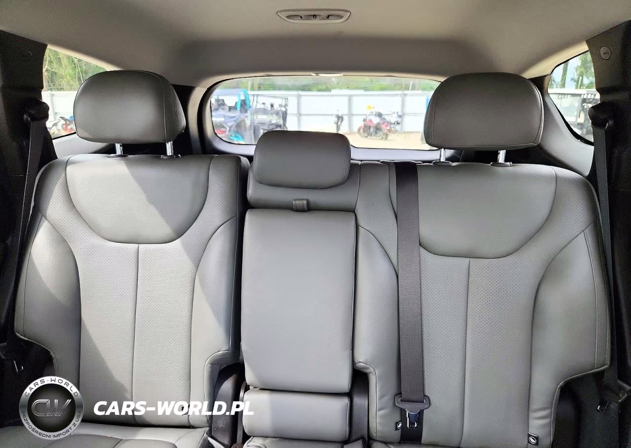 2020 Hyundai Santa Fe Sel VIN:5NMS33AD1LH172562 - 10