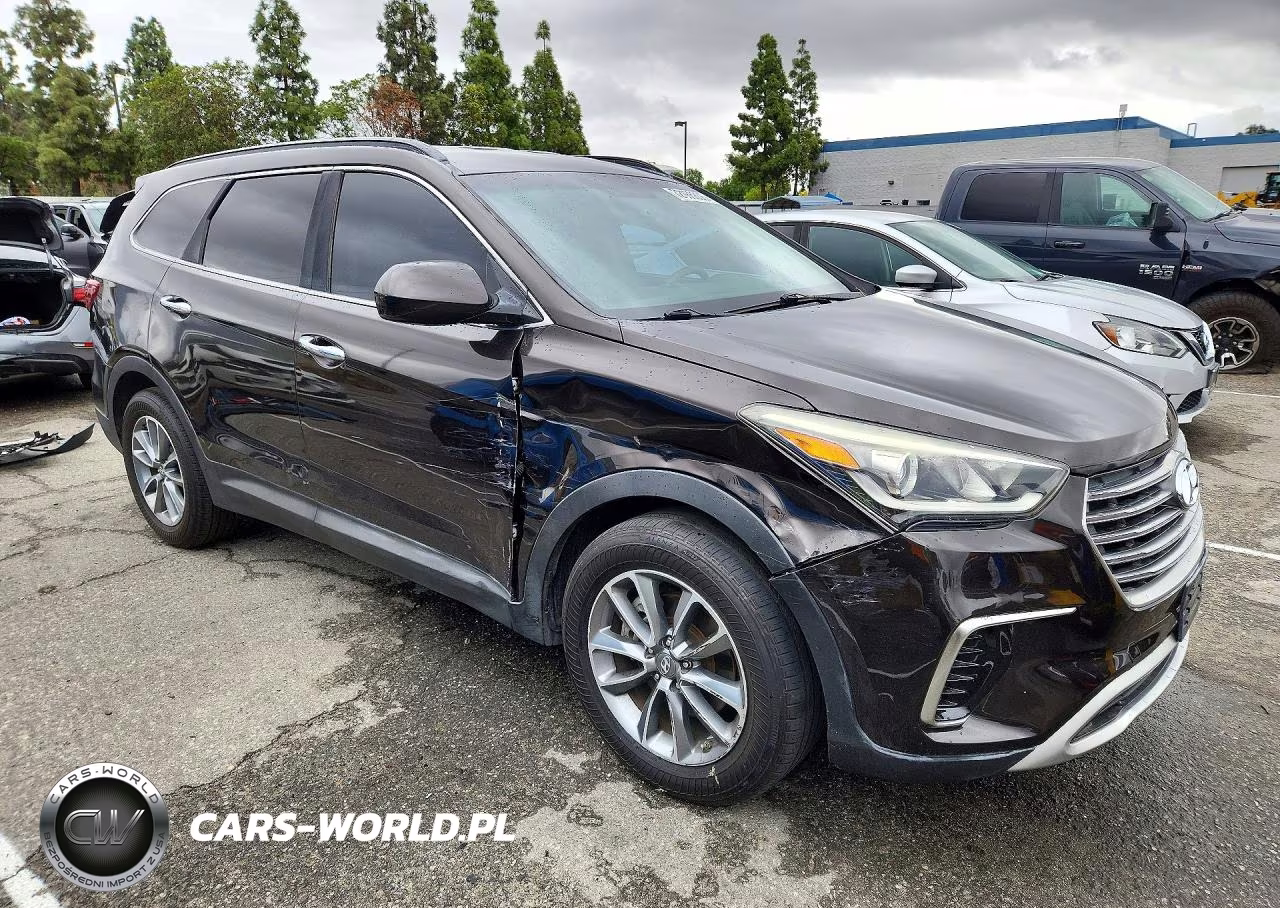 2017 Hyundai Santa Fe Se VIN:KM8SM4HF9HU165672 - 4