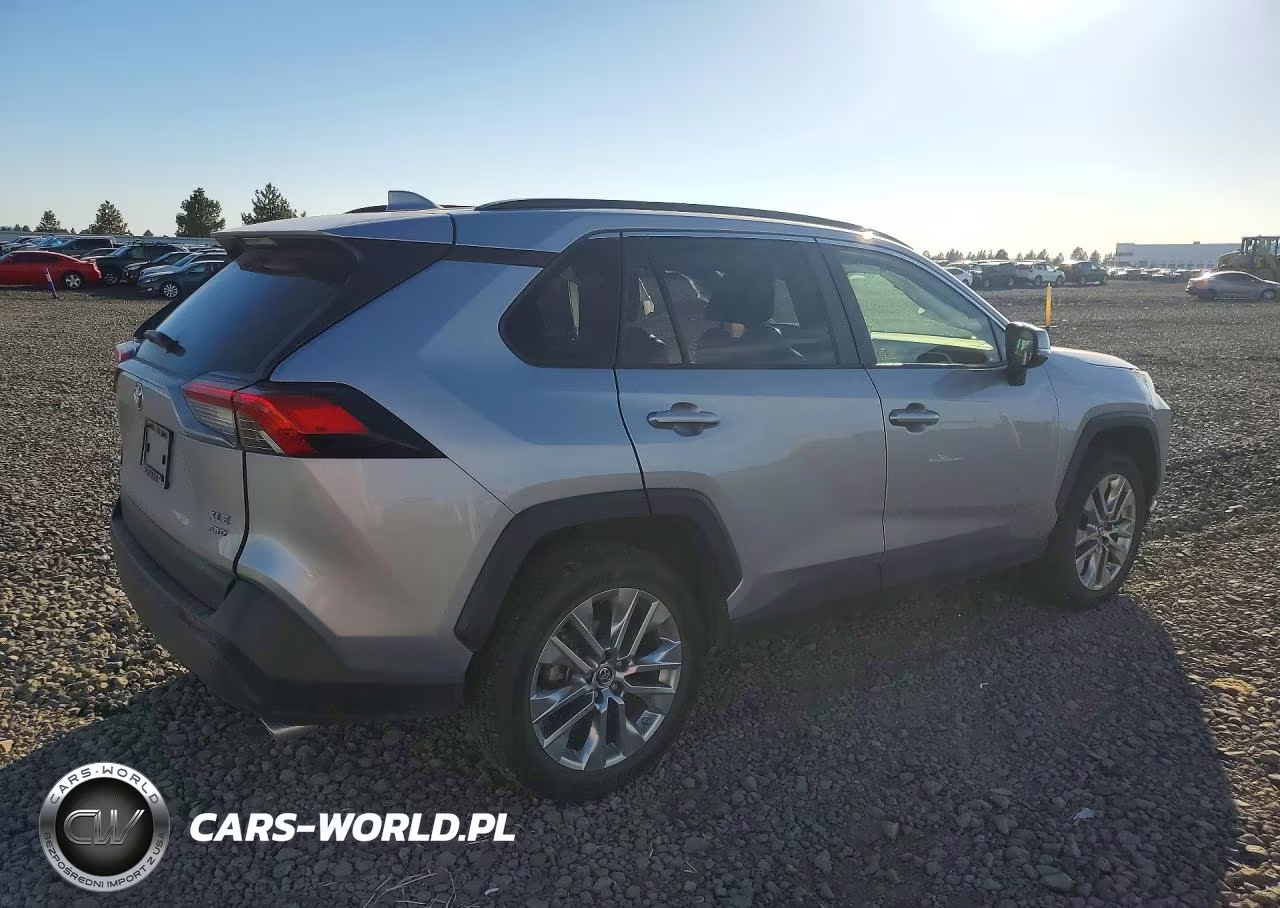 2019 Toyota Rav4 Xle Premium VIN:JTMA1RFVXKD503703 - 3