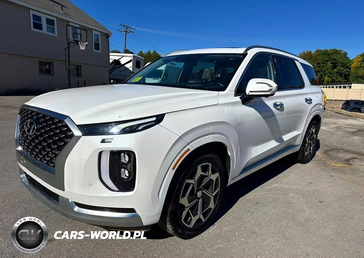 2021 Hyundai Palisade Calligraphy VIN:KM8R74HE4MU333094 - 1