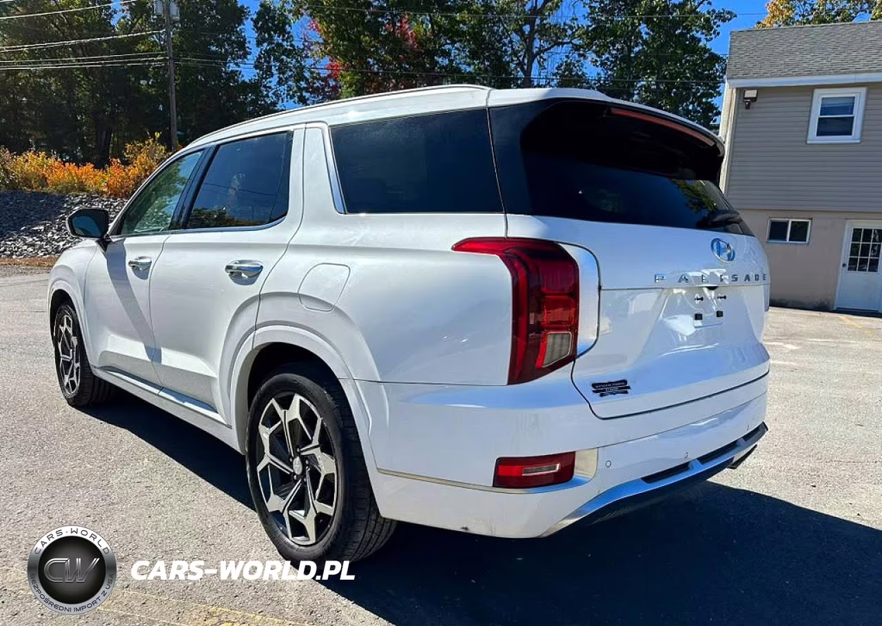2021 Hyundai Palisade Calligraphy VIN:KM8R74HE4MU333094 - 2