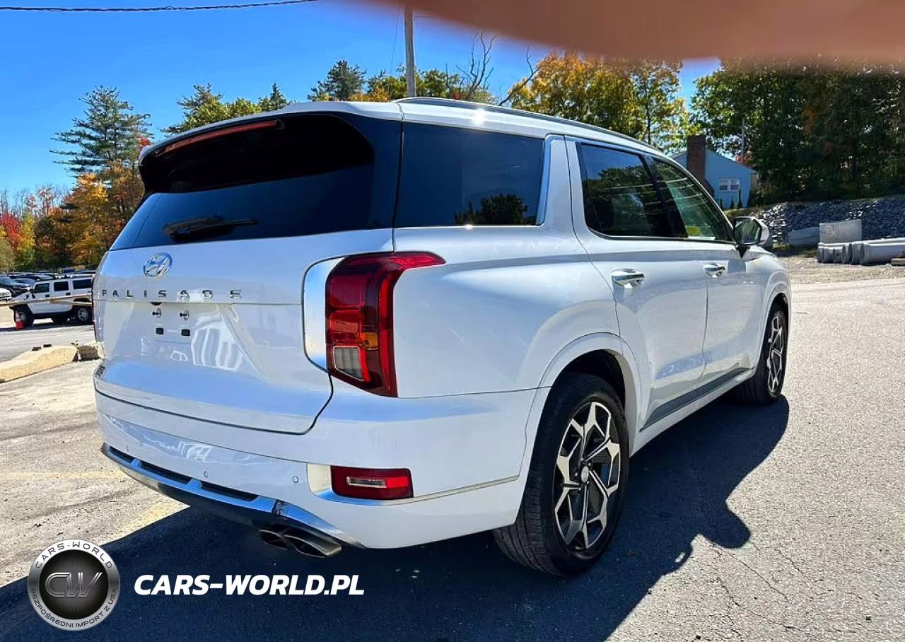 2021 Hyundai Palisade Calligraphy VIN:KM8R74HE4MU333094 - 3