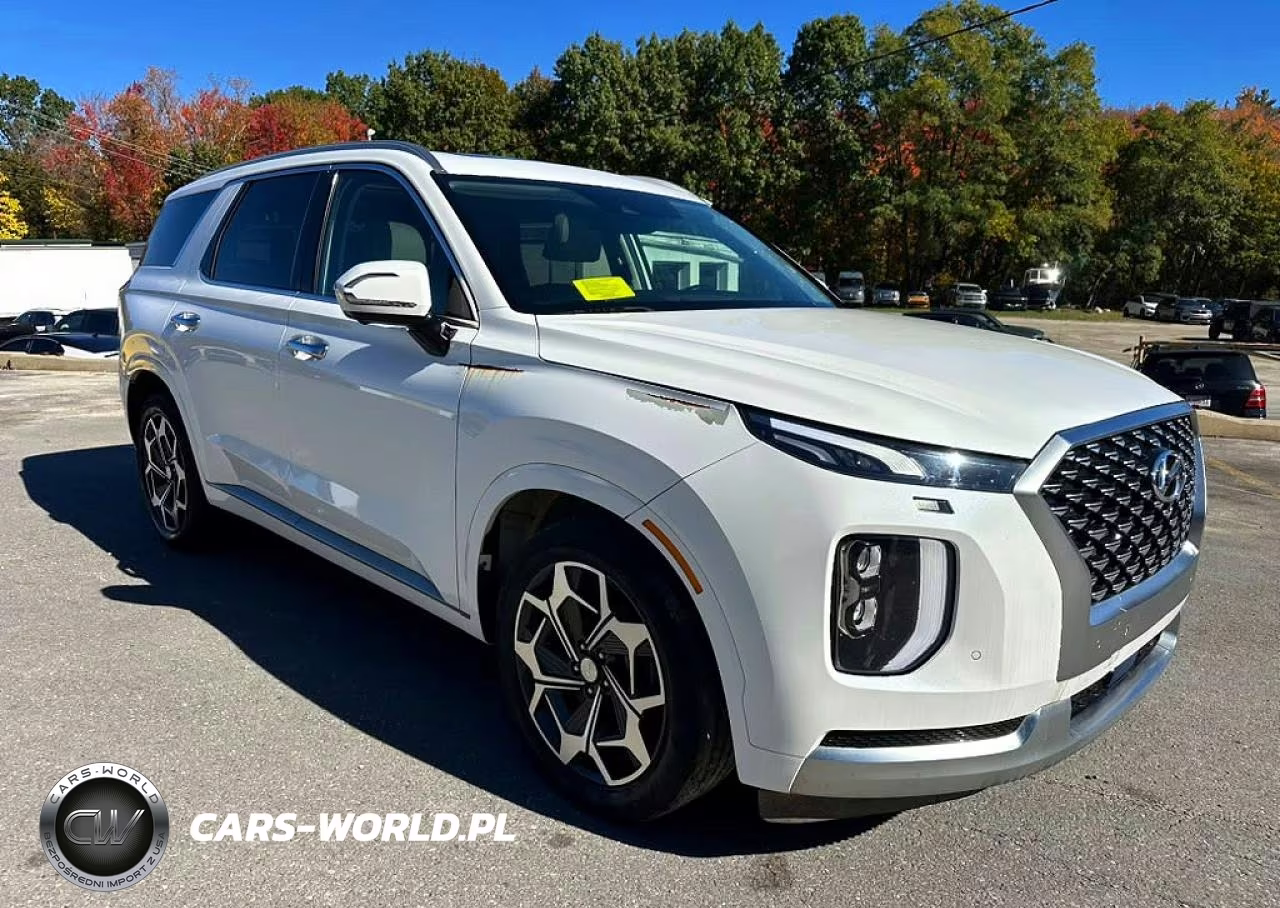 2021 Hyundai Palisade Calligraphy VIN:KM8R74HE4MU333094 - 4