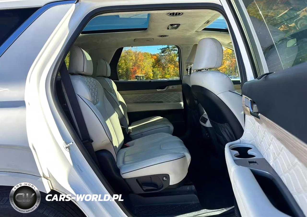 2021 Hyundai Palisade Calligraphy VIN:KM8R74HE4MU333094 - 5