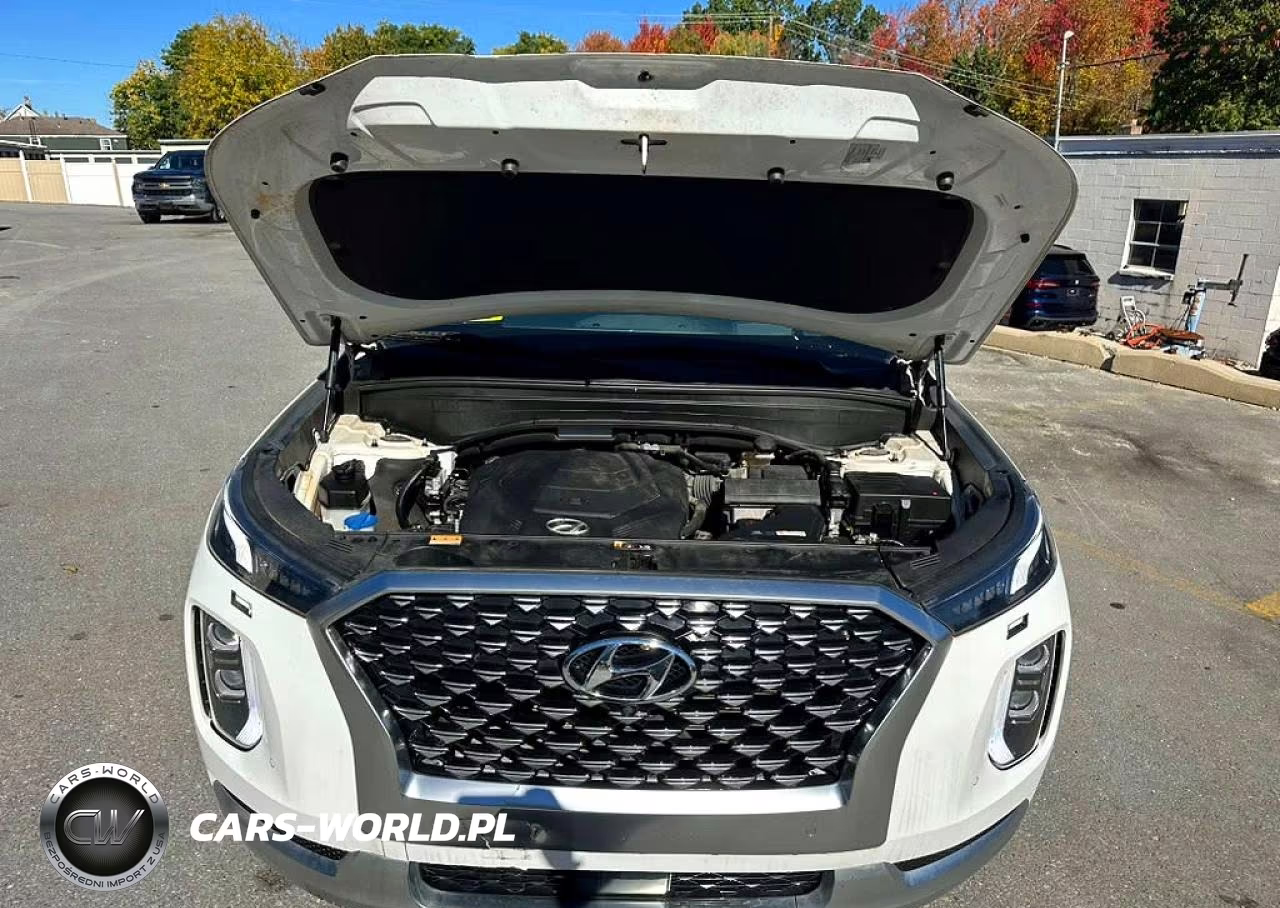 2021 Hyundai Palisade Calligraphy VIN:KM8R74HE4MU333094 - 9