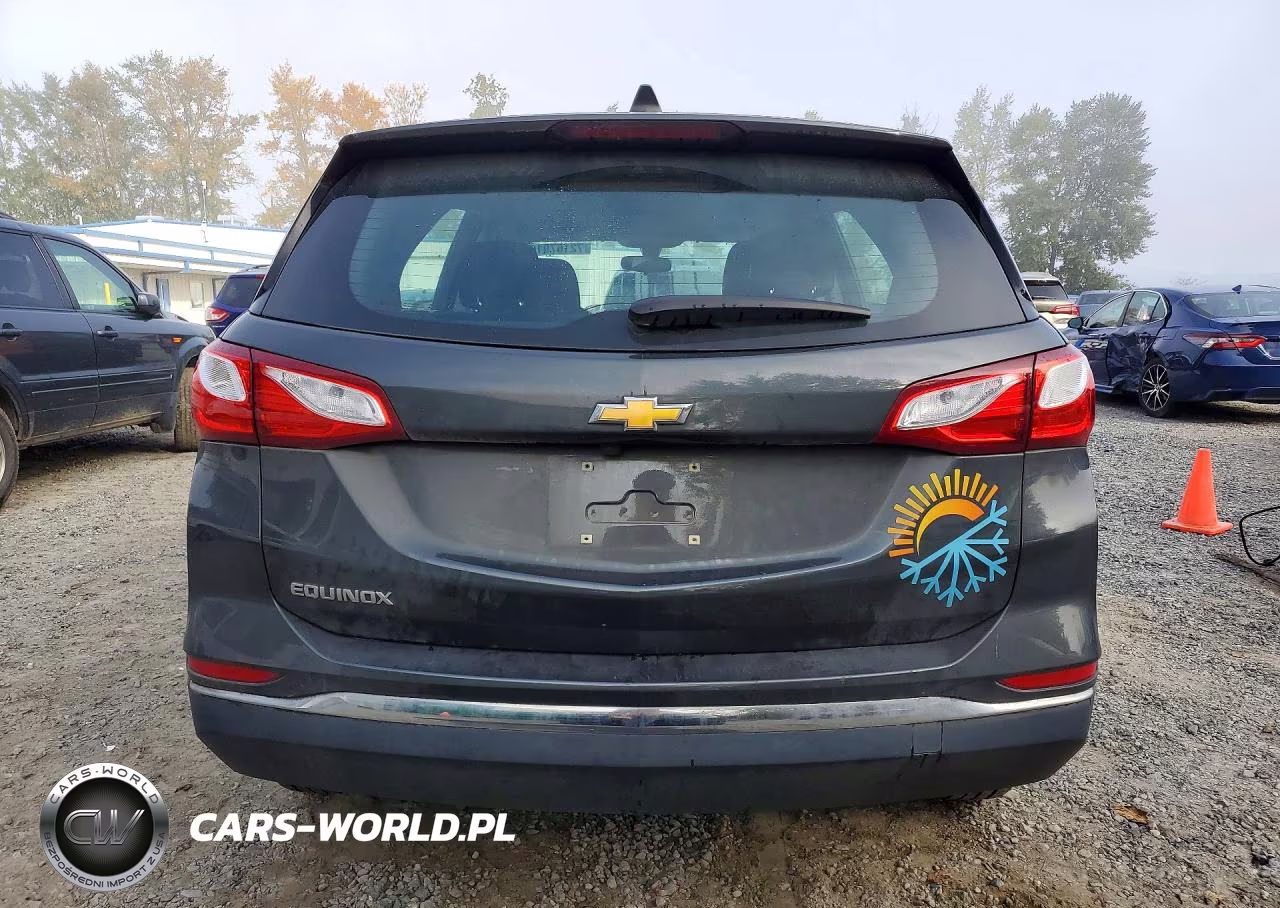 2018 Chevrolet Equinox Ls VIN:3GNAXHEV1JS628945 - 6