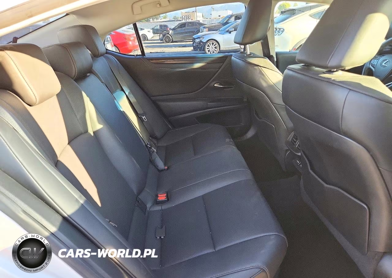 2021 Lexus Es 300H Base VIN:58ACA1C13MU008973 - 10