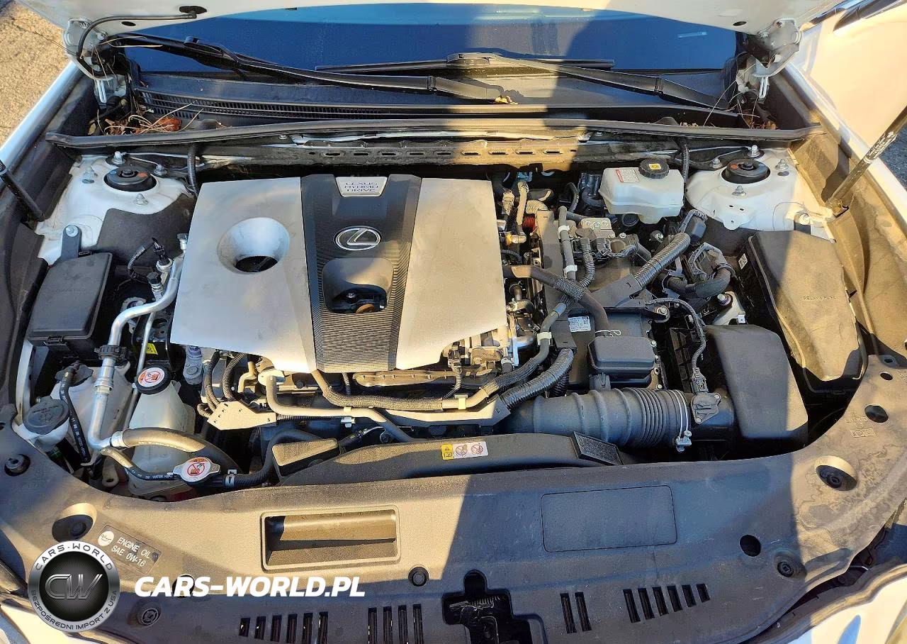 2021 Lexus Es 300H Base VIN:58ACA1C13MU008973 - 11
