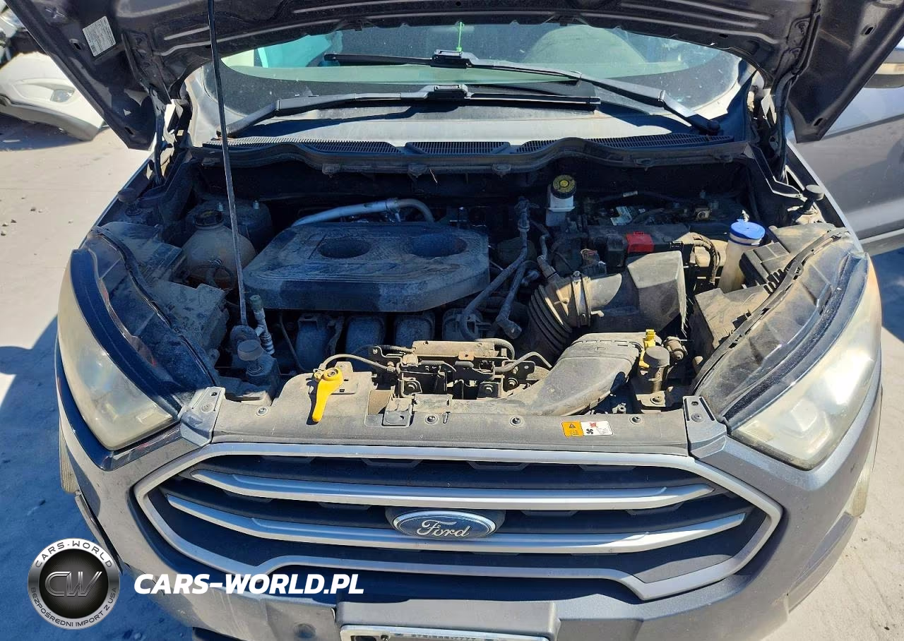 2019 Ford Ecosport Se VIN:MAJ6S3GL8KC256724 - 12